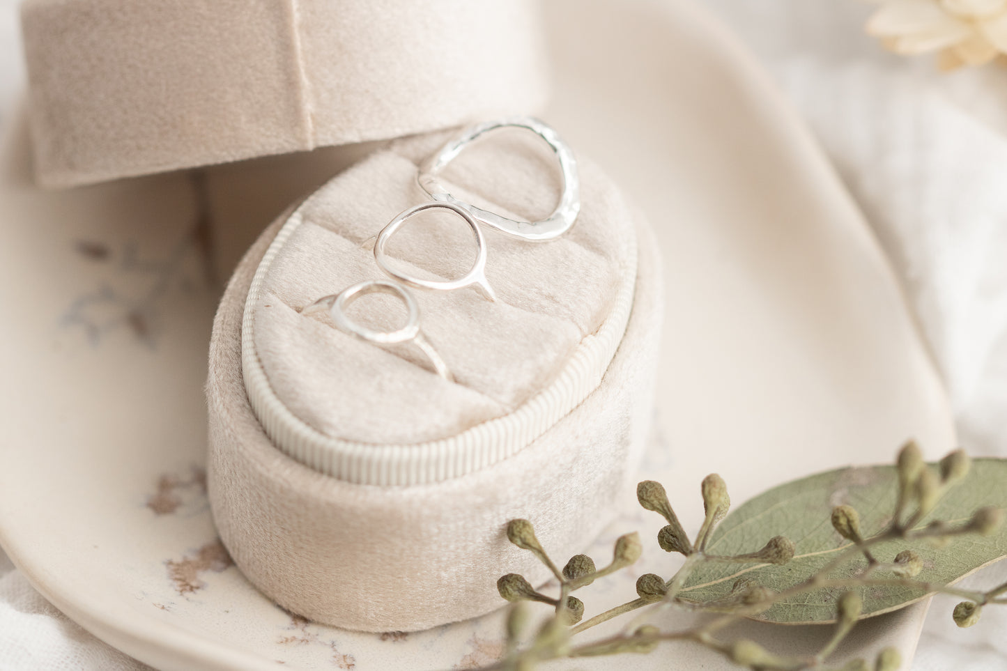 Three open circle sterling silver rings in small, medium, and large sizes, with the large ring featuring a hammered finish, elegantly displayed in a cream-colored ring box with dried leaves and flowers.