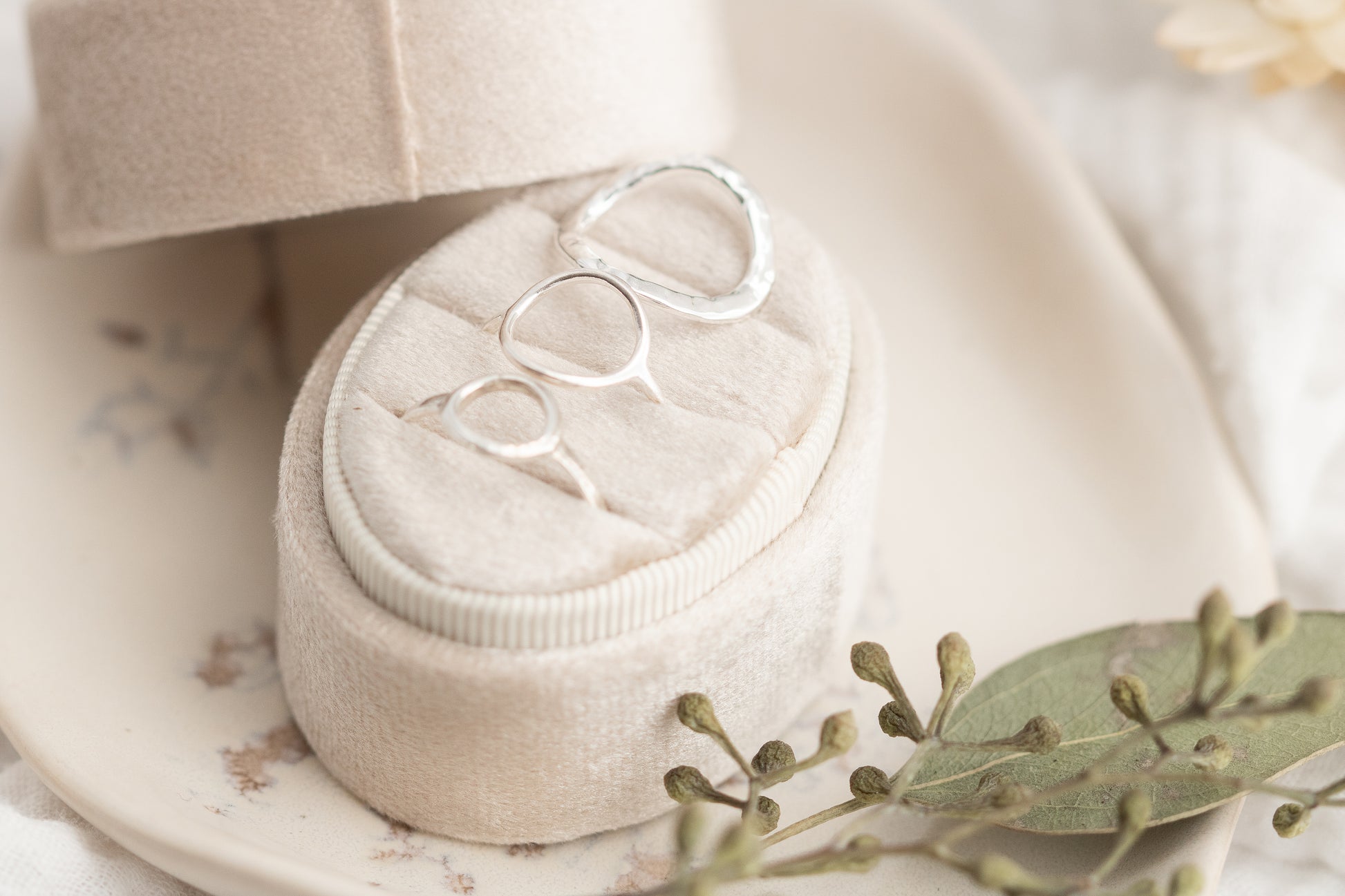 Three open circle sterling silver rings in small, medium, and large sizes, with the large ring featuring a hammered finish, elegantly displayed in a cream-colored ring box with dried leaves and flowers.
