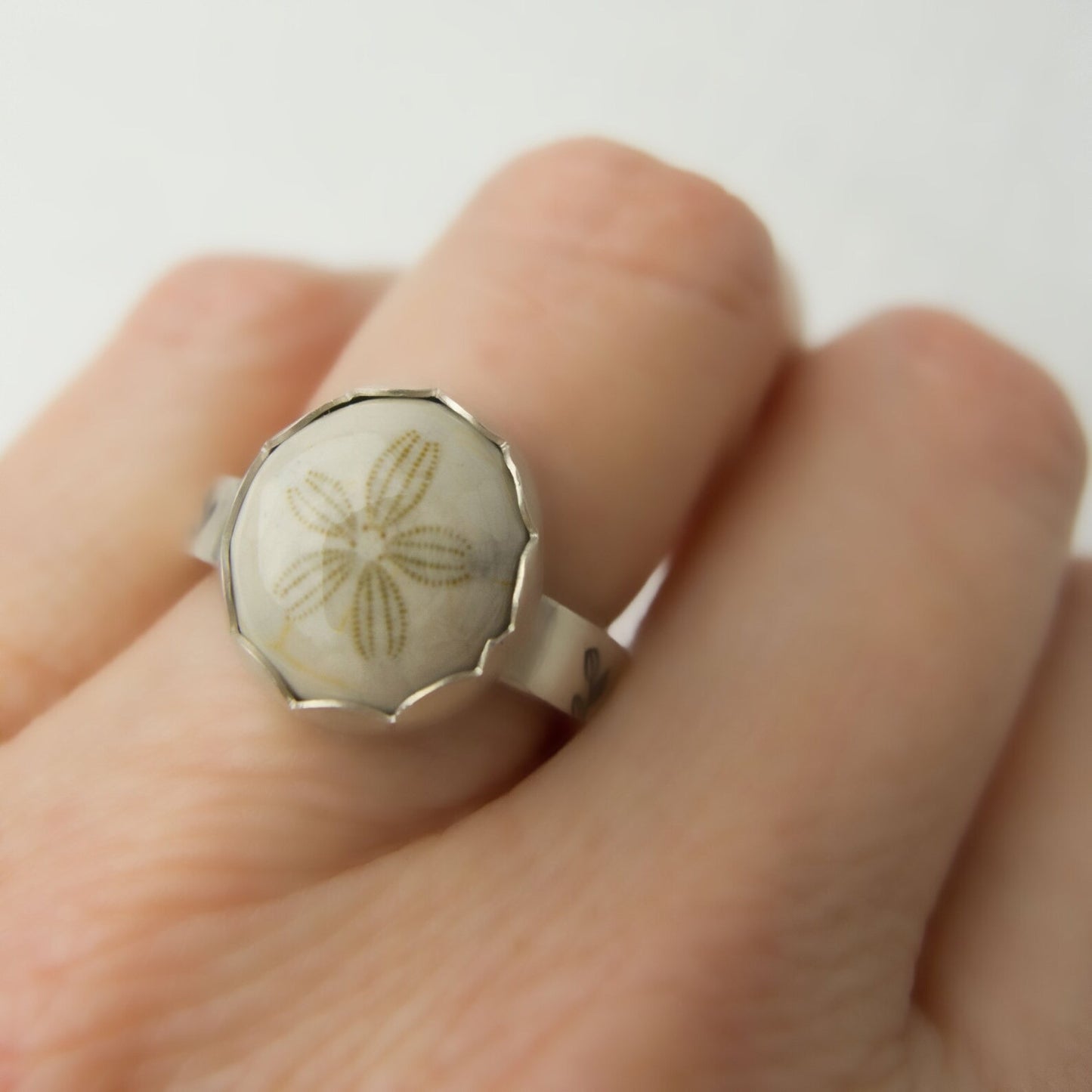 Sterling silver fossilized sand dollar ring. 