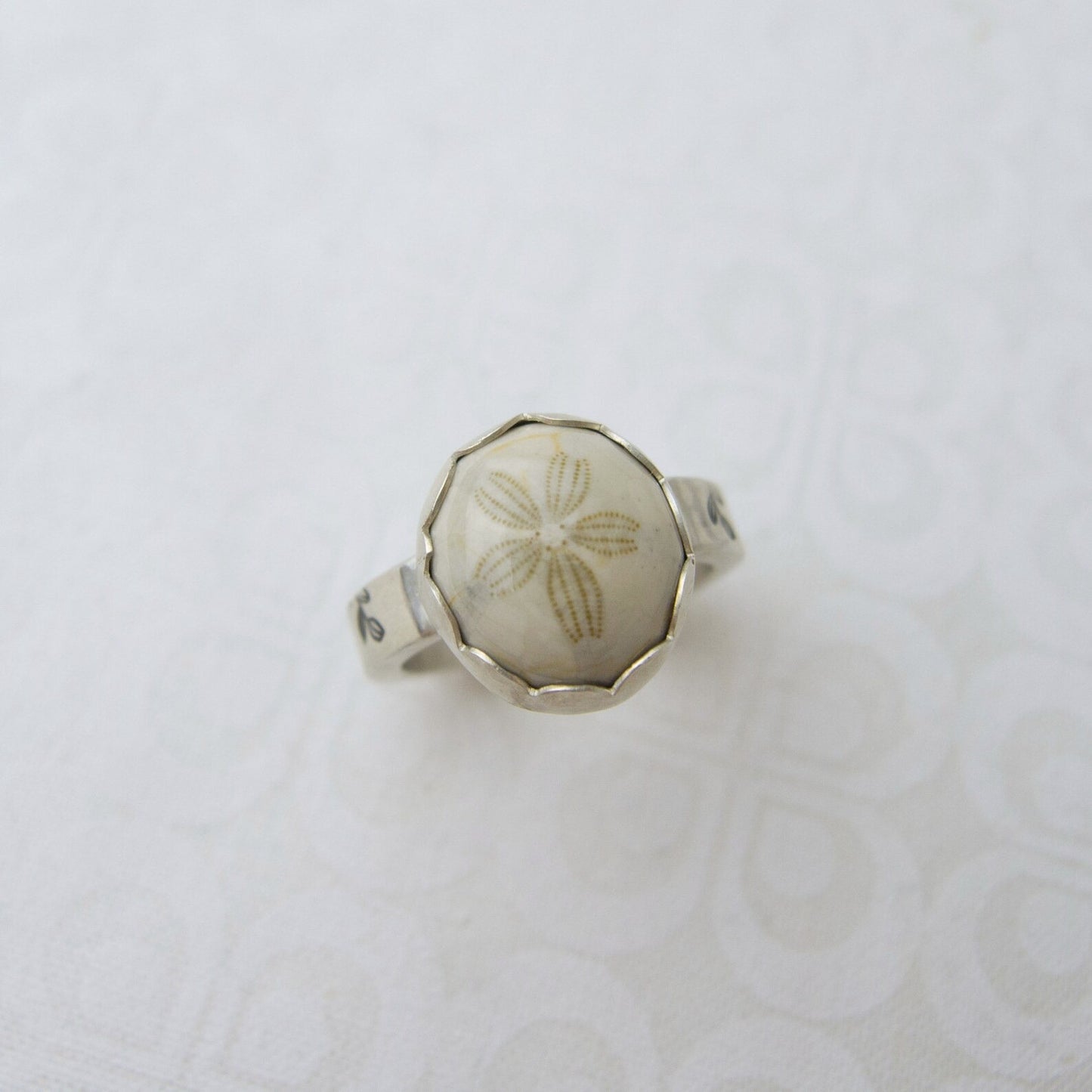 Sterling silver fossilized sand dollar ring. 