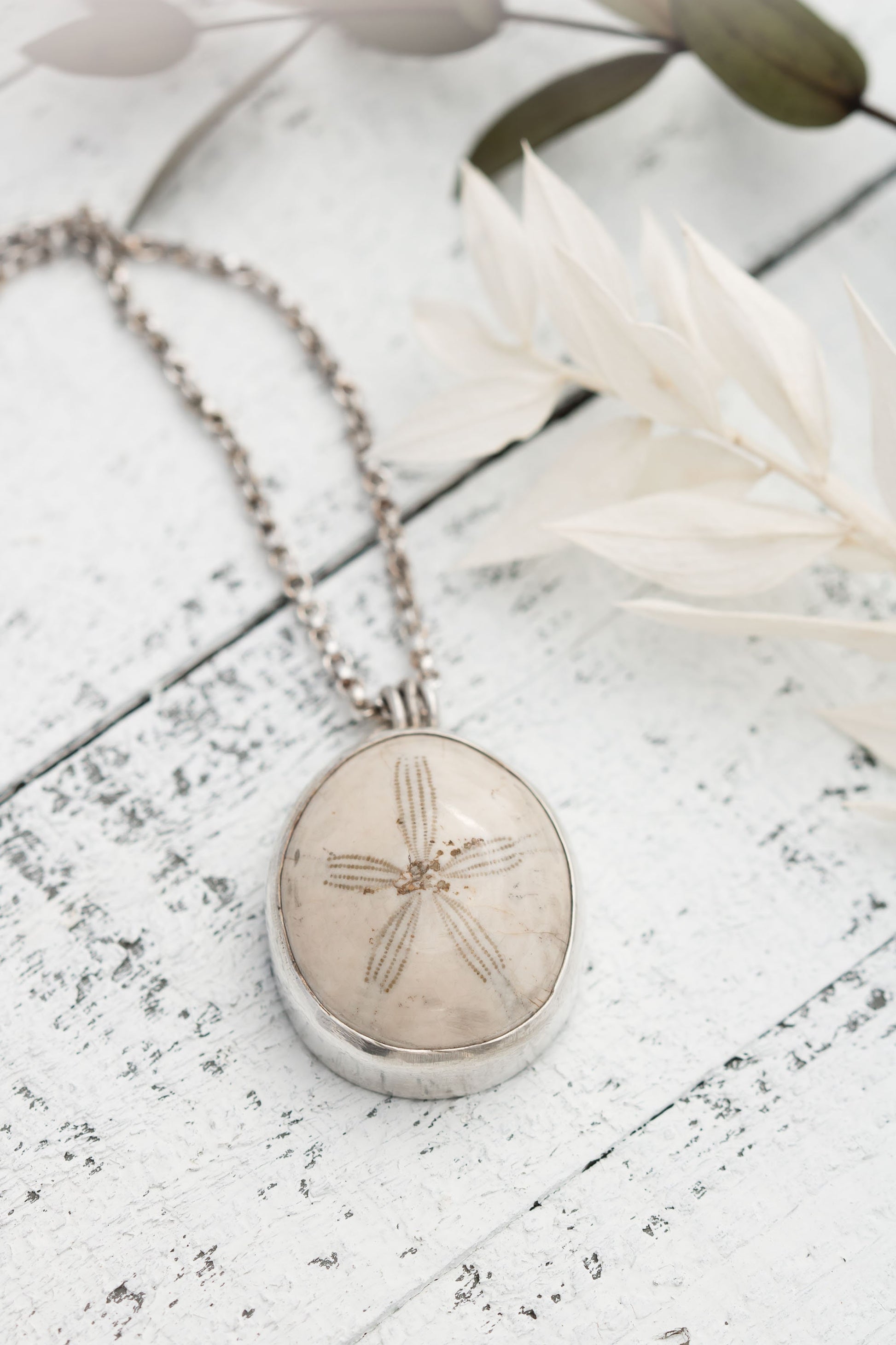 Fossilized sand dollar, sterling silver necklace .Real Fossil on a sterling silver chain.