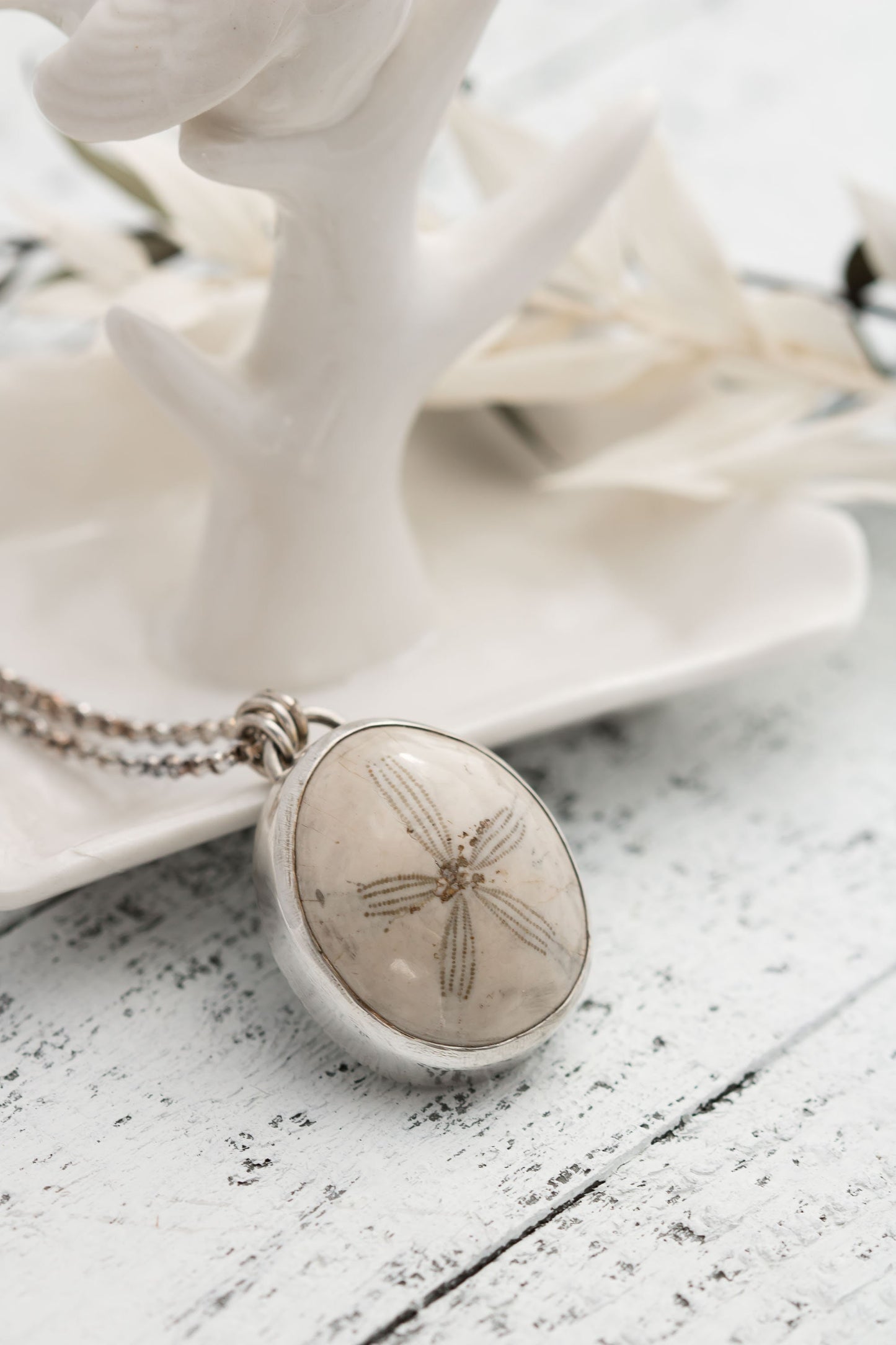 Fossilized sand dollar, sterling silver necklace. Real Fossil on a sterling silver chain.